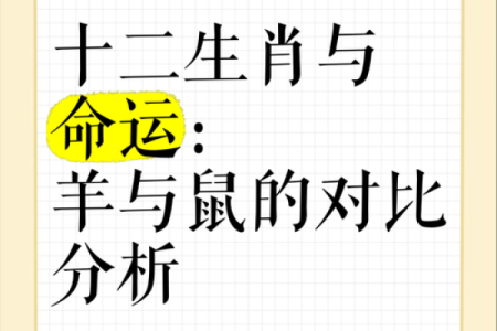 2022年牛年，带你解读命运与生肖的深刻内涵