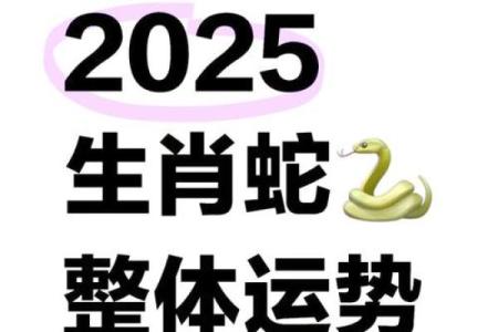 探秘属蛇人的命理运势与所需元素：揭开命理的神秘面纱