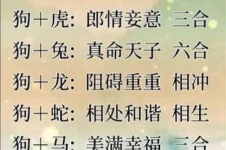 2017年属猴人的命运与性格解析：智慧与机遇的象征