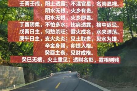 解析木命八字：如何识别木命人的命理特征与运势影响