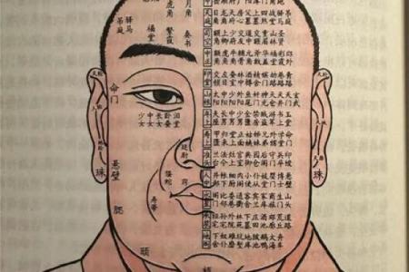 揭示富贵命的骨相特征：如何通过相骨察知财运与命格
