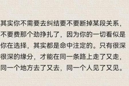 命中注定？探秘命理爱好者对文字的深刻情感