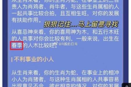 探寻命理奥秘：两个人的命格对比与启示
