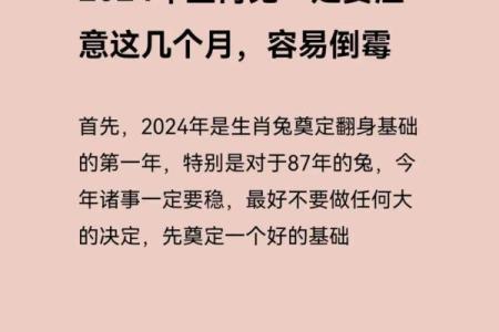 属兔47岁女性的命运解析与人生智慧