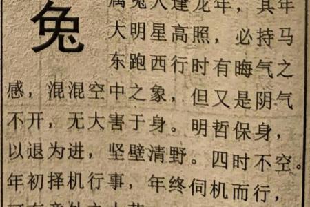 1975年属兔的命理解析：细腻温和的生命旅程