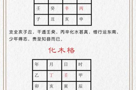 探秘八字命理：82与83年的命运解析