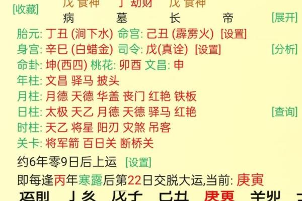 石榴木命：解析命理与生活中的诸多喜好