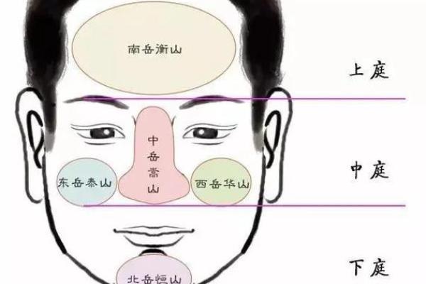 2013腊月24日出生的命运解析：命理与运势的深度探讨