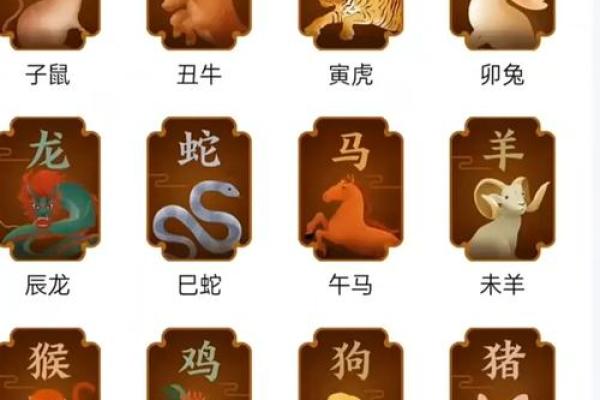 探索十二月出生者的命运与属相特点