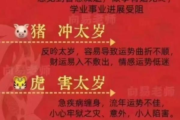 命理中的金花与人生的神秘联系，揭示吉祥之道