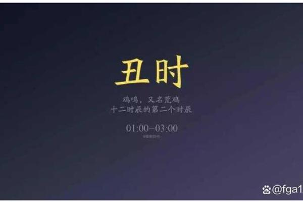 揭秘丑时出生的命运：从命理角度看你的未来与职业