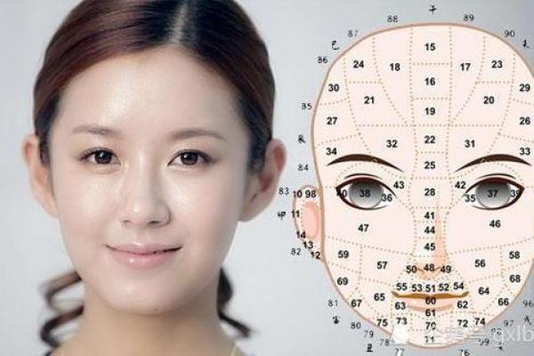 揭秘女人凤凰命：面相与命运的深刻联系