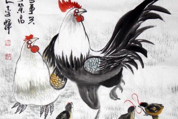 1969年属鸡女人的命运与人生解析：智慧与机遇的交织