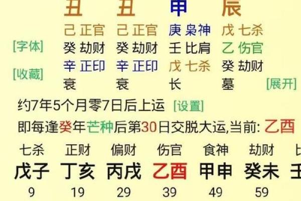探索中国命理：戊辰、癸亥、辛巳与戊子的命理之道