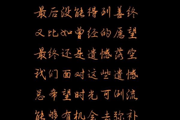 没有孙子的人生：如何迎接无孙之命的精彩旅程