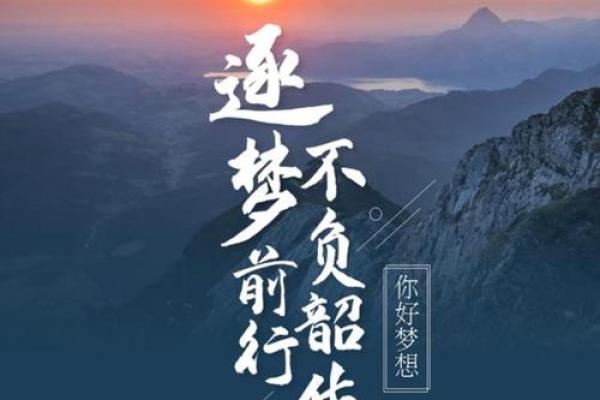命的意义：当生命与梦想交织时的选择与感悟