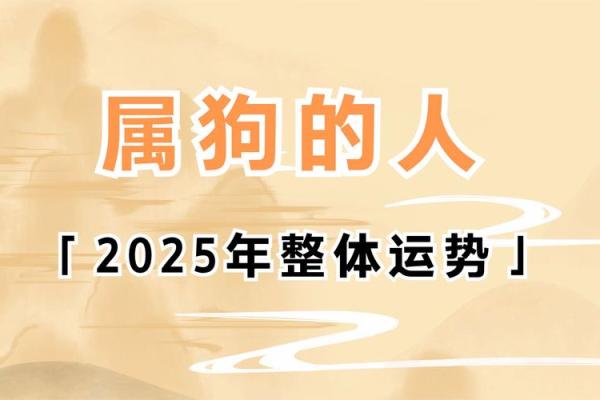 属狗火命：缺什么颜色，如何补救提升运势？