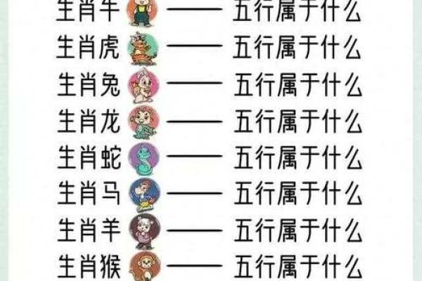 生肖猪2019命运揭秘：从五行看你的未来之路