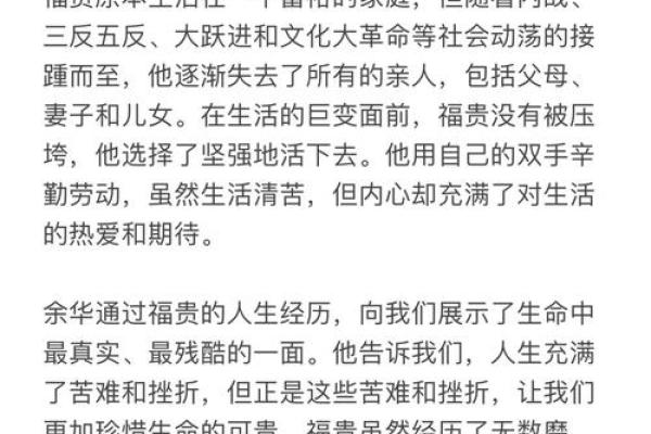 命里有福：探寻命运中潜藏的幸福力量
