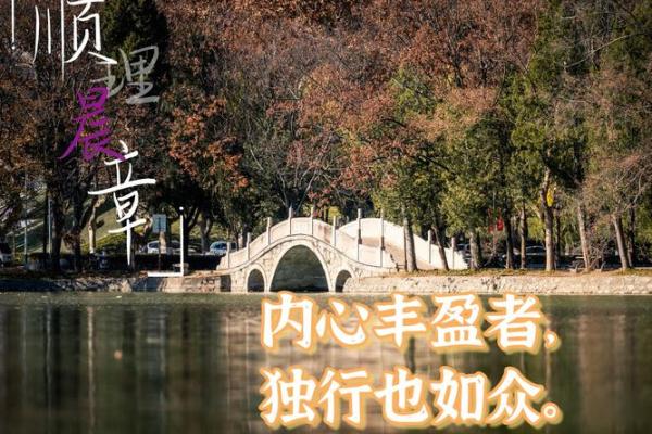 心有所向，命自如意——探寻内心的力量与命运的联系