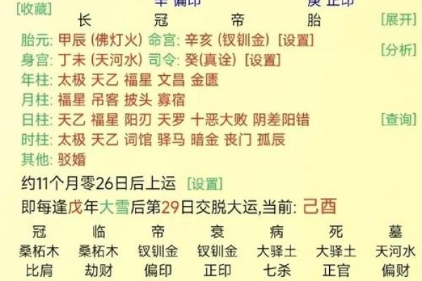 乞丐命的生肖解析：命运与生存的辩证法则