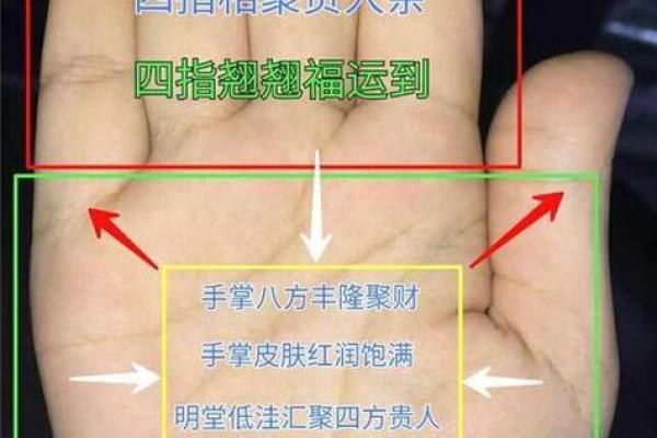 揭秘手相：幸福美满命运的男士特征分析