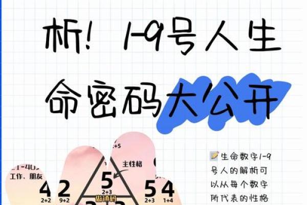 解读2001年12月出生的命运与性格特征