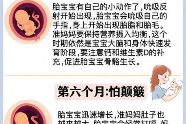 探寻命理学中的头胎奥秘：揭示第一胎的深远意义与影响