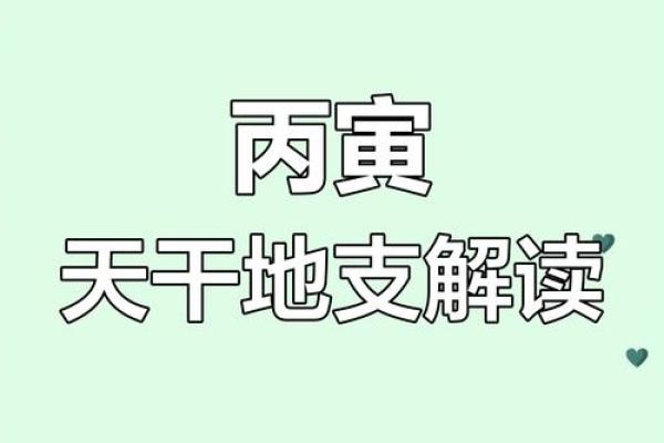 探索1976年丙寅之命：命理与人生的奇妙交织
