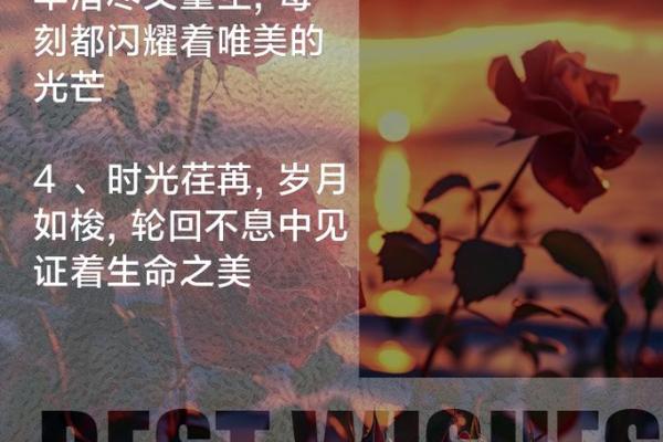 命不久的人与生命的意义：当时间悄然流逝时的思考