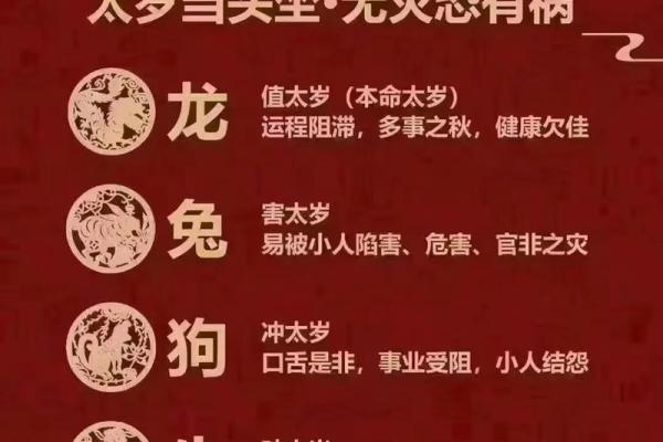 深入解读：哪些生肖属于饿木命及其特点与运势
