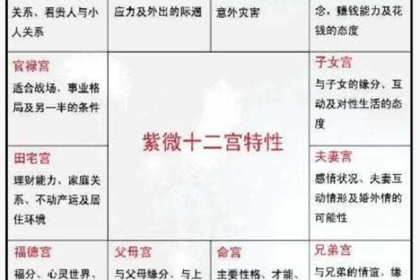 揭示命盘上的奥秘：年龄与人生阶段的深度解读