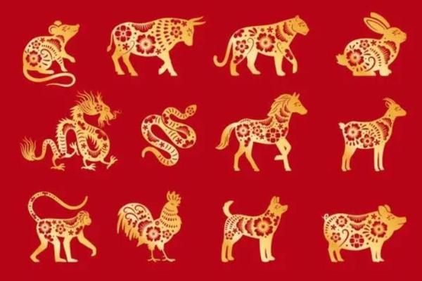 输老鼠的人是什么命？揭开命运的奥秘与启示