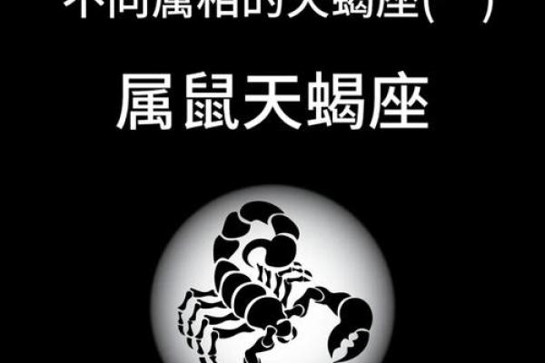 91年属鼠人的命运与性格探讨：成就与挑战并存的生活之路