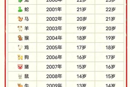 1963年兔年命格解析：生肖兔的性格与运势探讨
