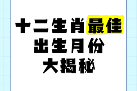 探索十二月出生者的命运与属相特点
