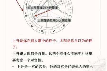 为什么每个人都有星座命——星座与命运的奥秘