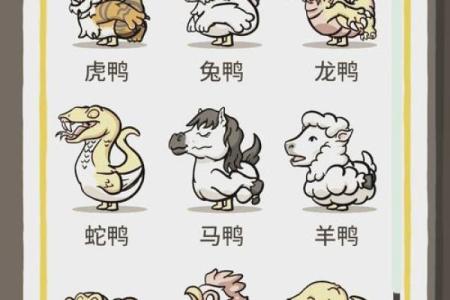 2000年出生的命运：探讨属相与性格的奇妙联系