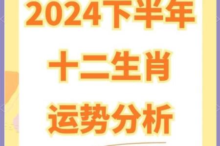 2022年十二生肖运势解析：星相背后的命运启示与人生指导