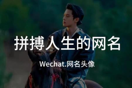 为木命之人起名，探寻自然与生机的魅力网名