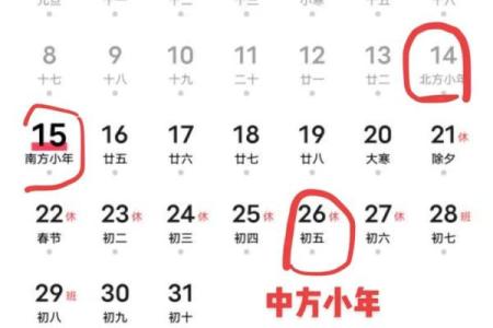 94年正月十七出生的命运与个性解析