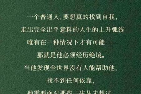 《根据什么命：探索人生的旋律与哲理》