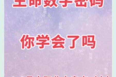 取命符的数字奥秘：揭示人生旅途中的隐秘力量