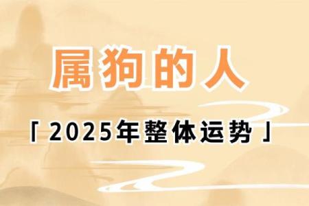 属狗火命：缺什么颜色，如何补救提升运势？
