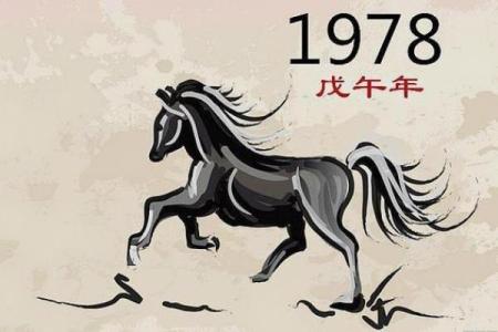 2002年水马命的命运解析：缺什么，如何改变？