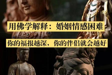 朋友富贵命：缘分与机遇的美好交汇