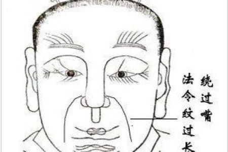 头大脖子长的命运：探索古老面相学的智慧与启示