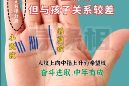揭秘手相：幸福美满命运的男士特征分析