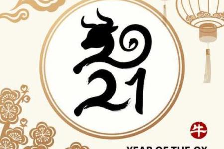 40岁属猪之人的命运解析：生活、事业、爱情的全面解读
