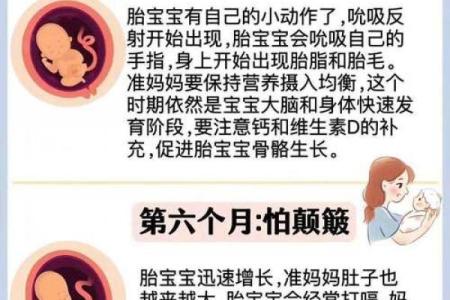 探寻命理学中的头胎奥秘：揭示第一胎的深远意义与影响
